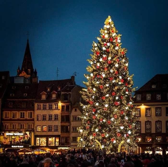 Gites Spa Strasbourg - Villa Ours - Spa Prive, Sauna, Borne D'Arcade, Babyfoot Ittenheim 외부 사진